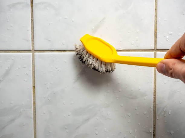 Best Commercial Mold Remediation in El Sobrante, CA